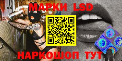 стаф Новодвинск