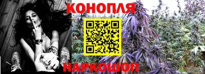прущие крисы Обь